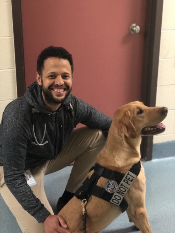 Dr Guillaume Hoareau DVM, PhD, Dip ACVECC, Dip ECVECC