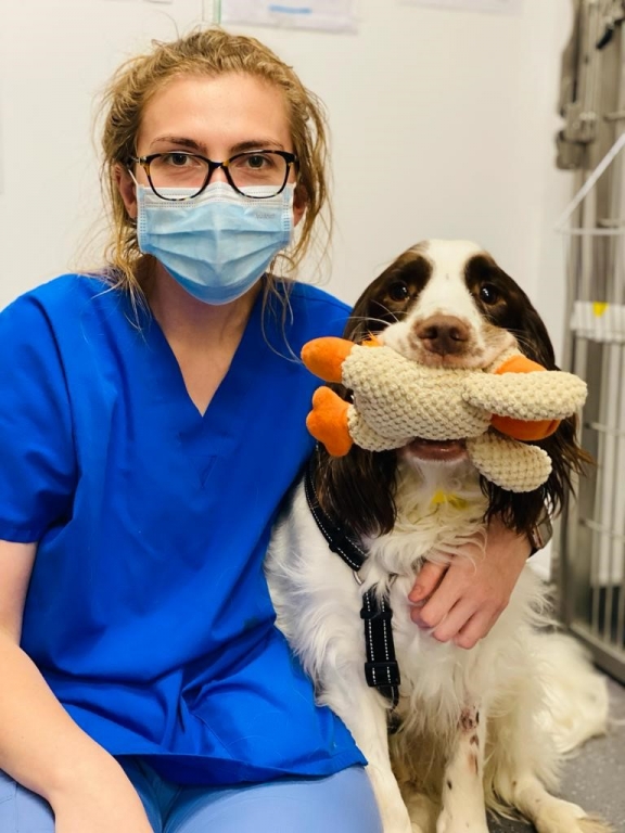 Bandit with Head of Neurology at Southfields and RCVS and European specialist in neurology Ane Uriate 