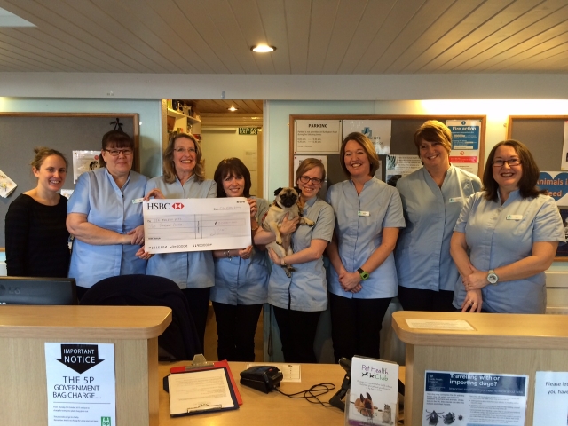 Staff at New Malden Vets, in Surrey