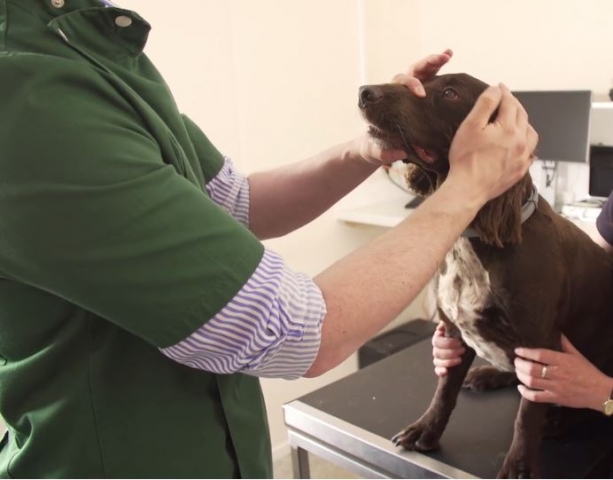 Chris Dixon presents the Back to Basics series