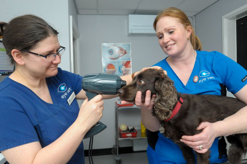 Eye Vet clinical director Iona Mathieson, an advanced practitioner in veterinary ophthalmology, using the ocular surface analyser. 