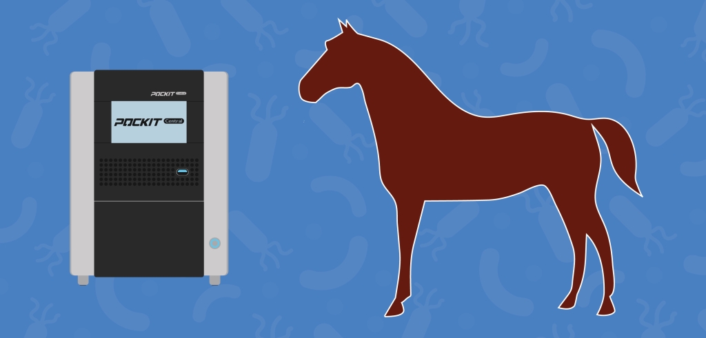 Graphic showing the POCKIT™ Central veterinary PCR analyser alongside an outline of a horse