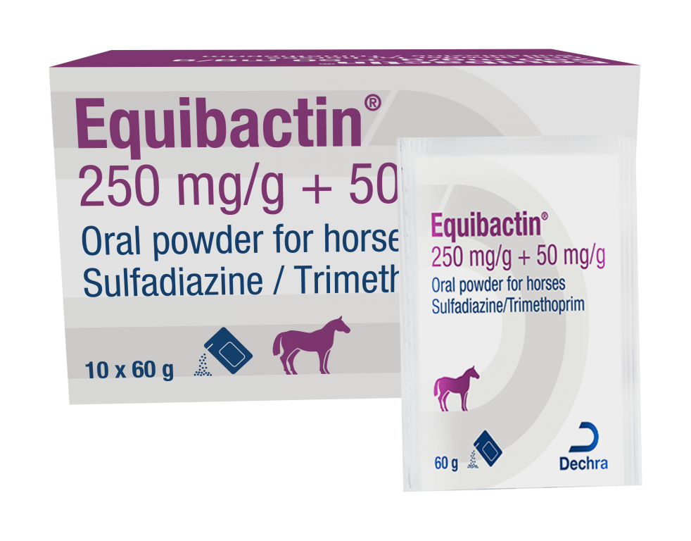   New Equibactin® Powder antibiotic product is launched by Dechra Veterinary Products