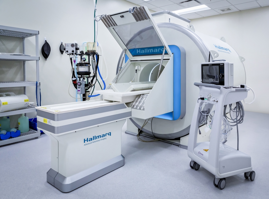 Hallmarq releases it’s new Zero-Helium Small Animal 1.5T MRI machine