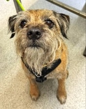 Scans revealed Eddie was suffering from the deadly disease mucocele