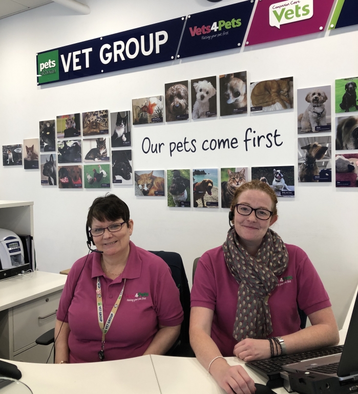 Apprentices Lesley and Emma at Vets4Pets' Support Office in Swindon 