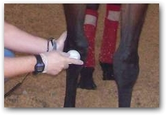 10 Years Since DEEP OSCILLATION Arrived In The UK - Amy Jones Is "Amazed" By The Product