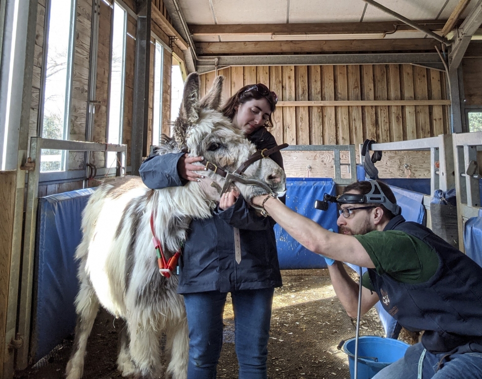 Jesus and Dominique check the condition of Jonty's teeth, following his dental work