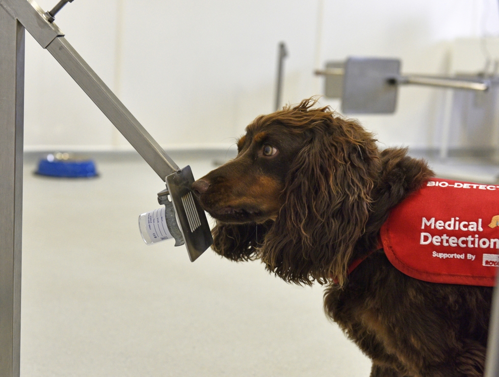 PLEASE CREDIT EMMA JEFFERY 