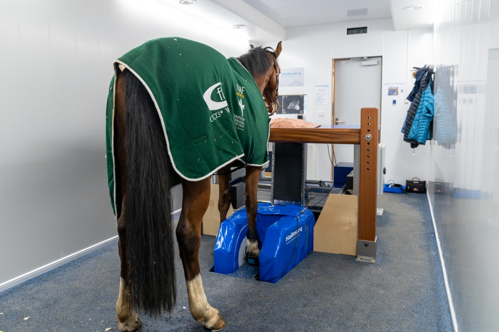 Endell Equine Hospital has invested in the latest Hallmarq Standing Equine MRI