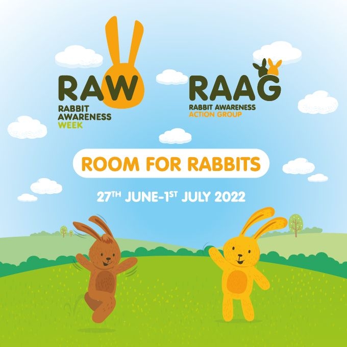 Room For Rabbits graphic