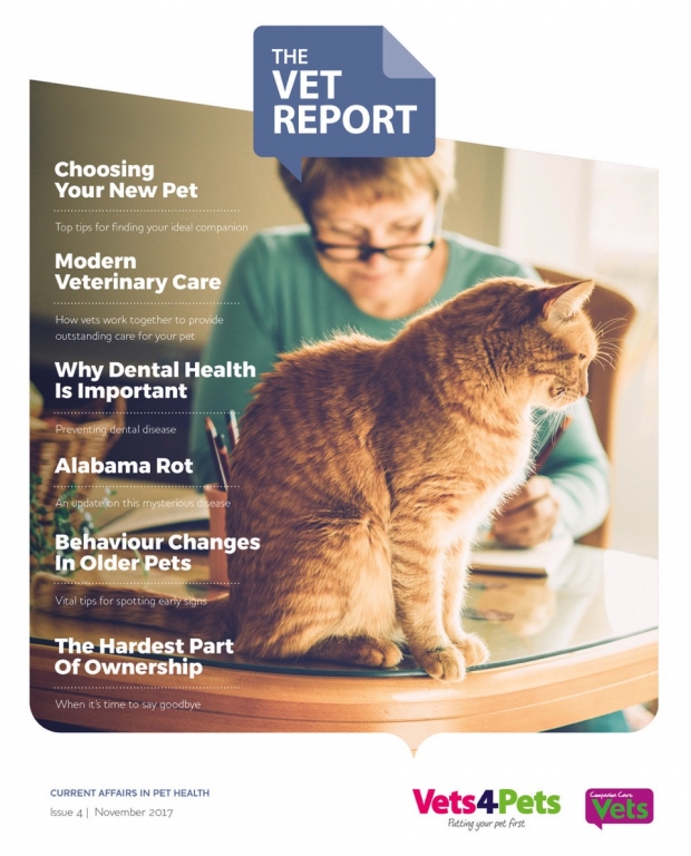 Vet Report 2017 front cover