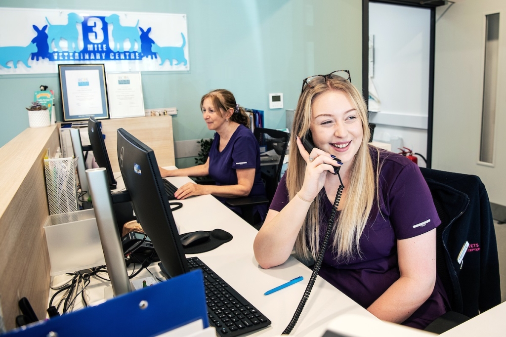 The Client Care Hub aims to provide a solid foundation in all aspects of good client care