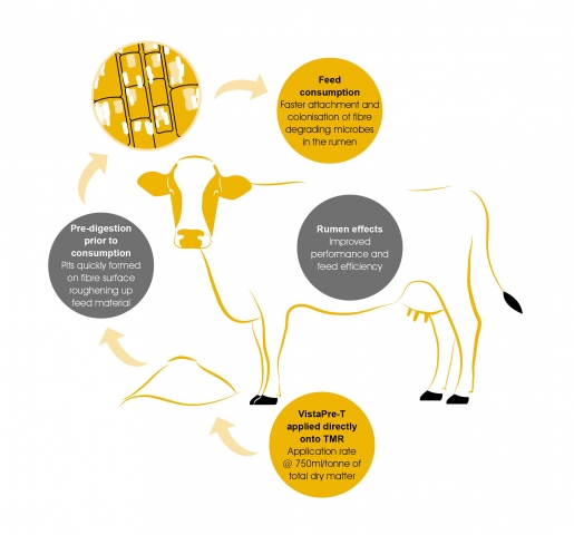How VistaPre-T works on rations to improve performance 