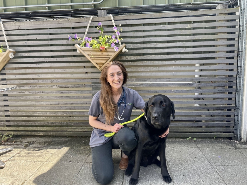 Soft tissue surgeon Heather Williams has joined the team at Linnaeus-owned North Downs Specialist Referrals, in Surrey.  