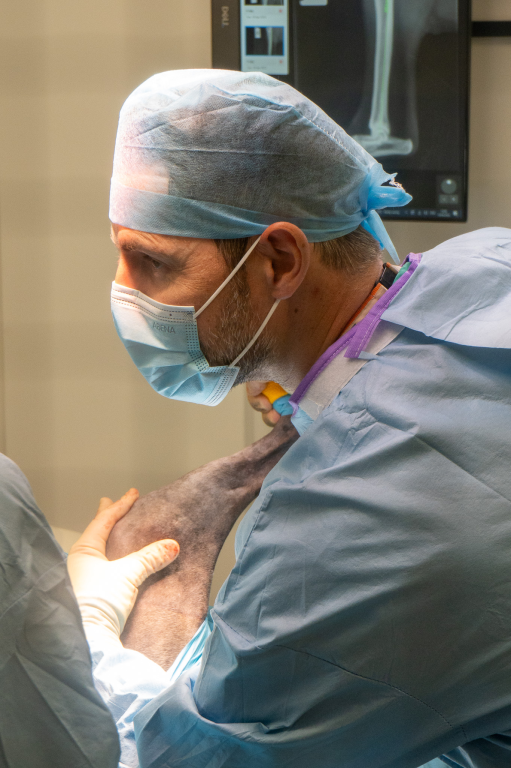 Aidan McAlinden performing surgery