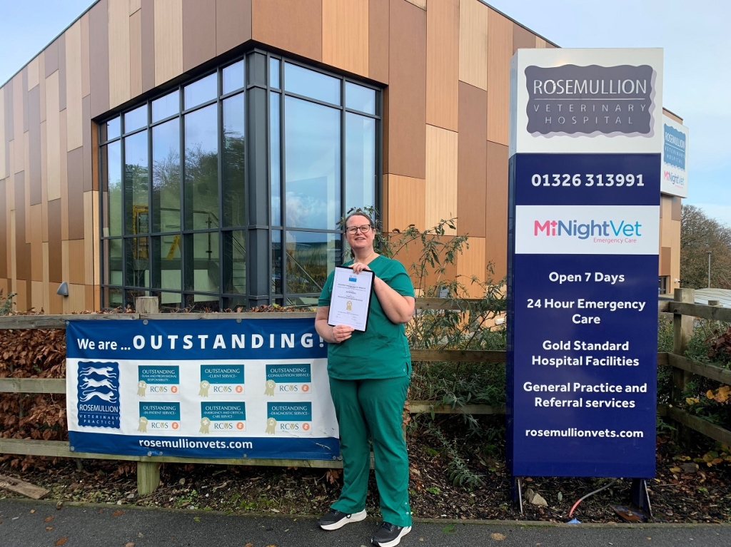 Rosemullion is one of the only UK practices to receive ‘outstanding’ accreditations in all areas