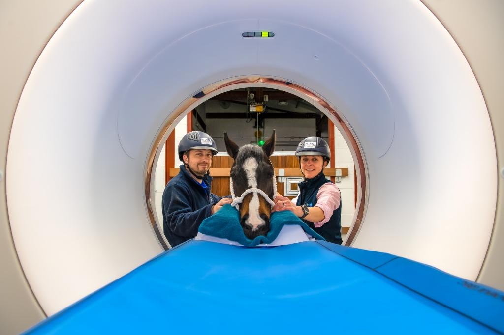 The new CT system provides the most accurate diagnosis so optimal treatment plans can be created 