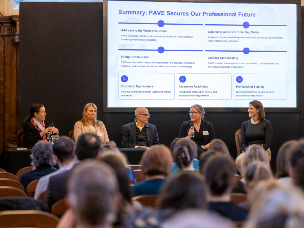 Photo of the panel discussion taken from the audience