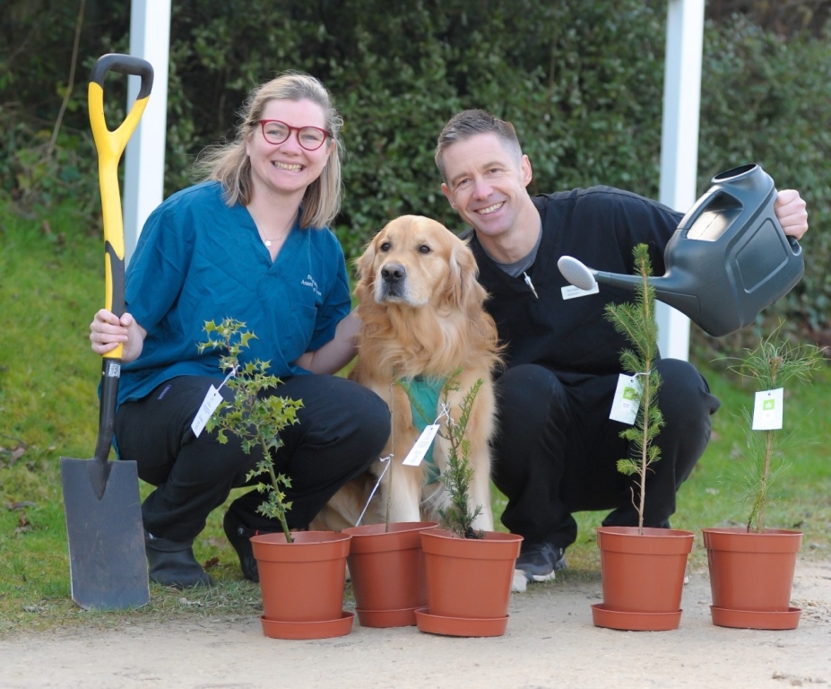 Cave Veterinary Specialists’ surgery nurse Sophie Puzey, neurology specialist Tom Cardy and Yoda the Golden Retriever mark the launch of the practice’s tree planting initiative.