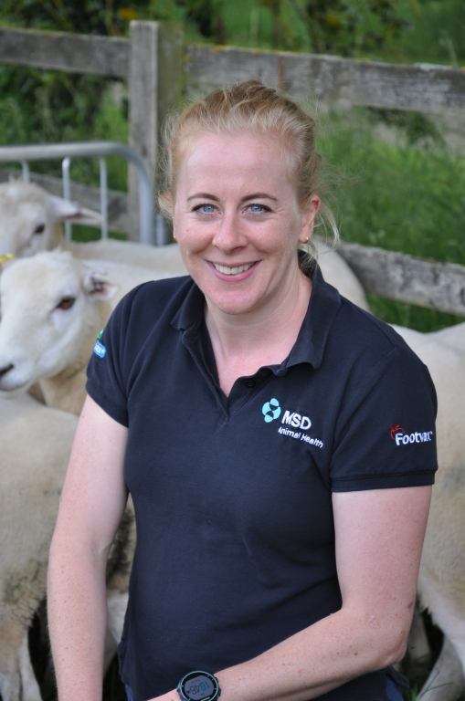 The 2026 FlockCheck scheme has been launched early