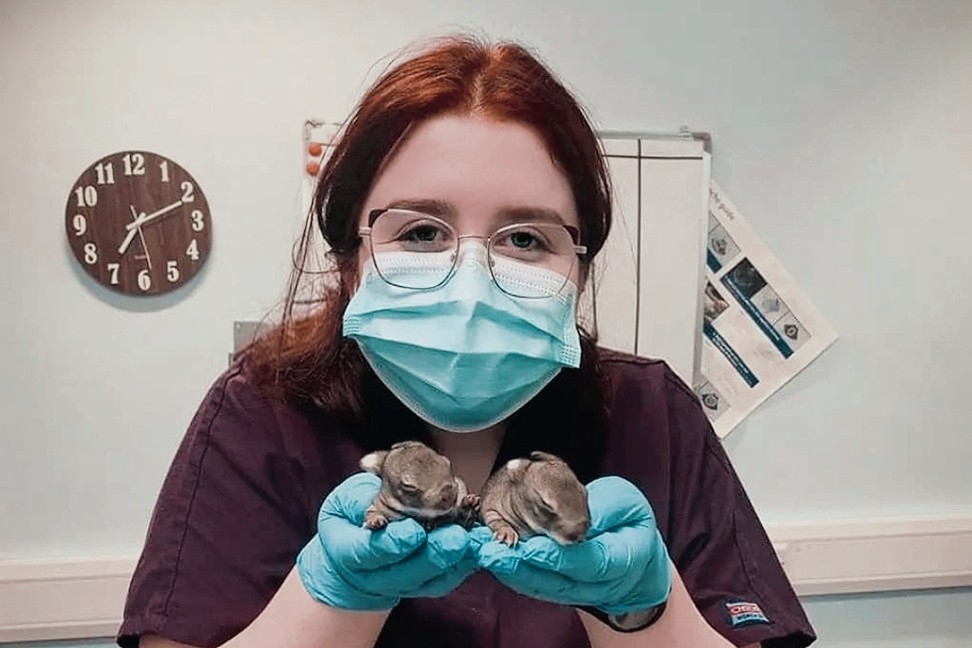 Emily in surgical gown holding two baby animals
