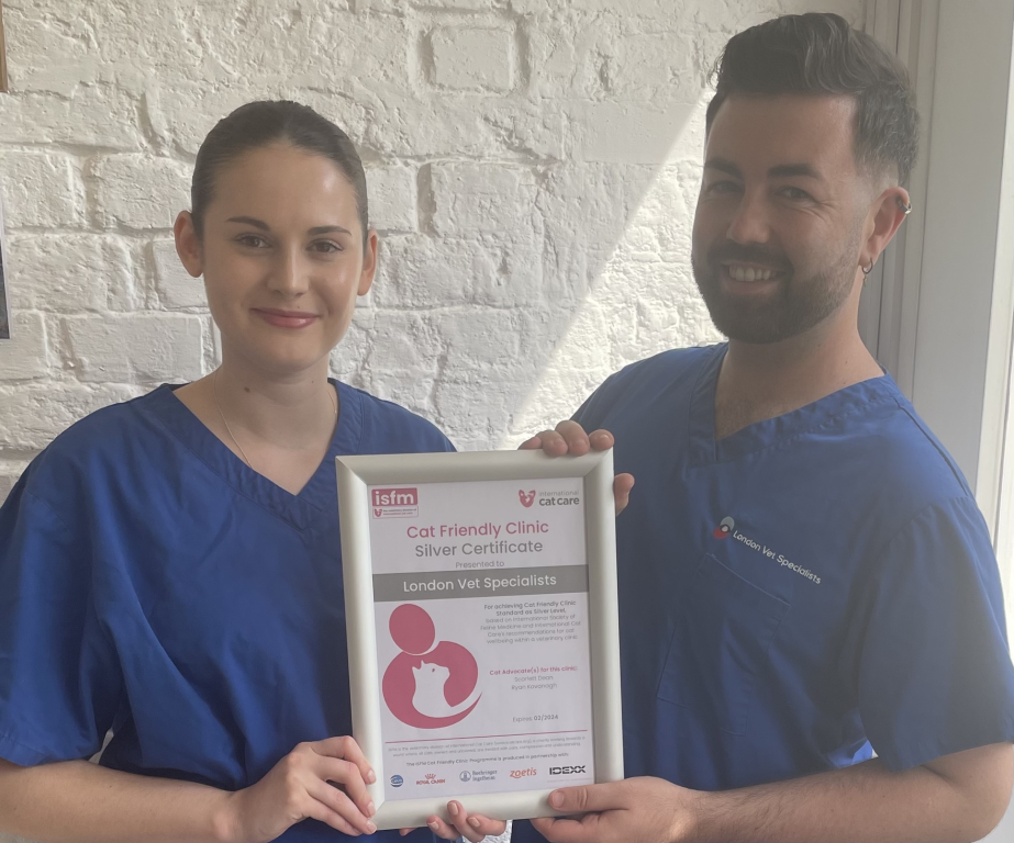 Cat advocates Scarlett Dean and Ryan Kavanagh from Linnaeus-owned London Vet Specialists which has earned silver status as a cat-friendly clinic from the International Society of Feline Medicine.  
