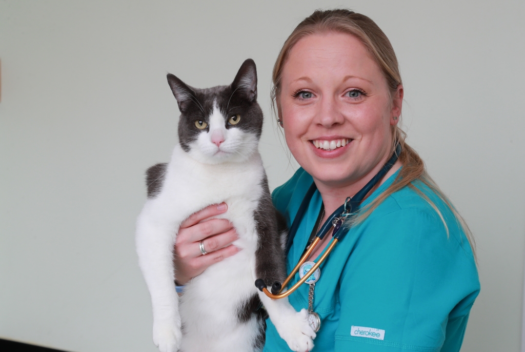 Dream: Sadie Larner is on her way to achieving her dream of becoming a fully-fledged Registered Veterinary Nurse. 