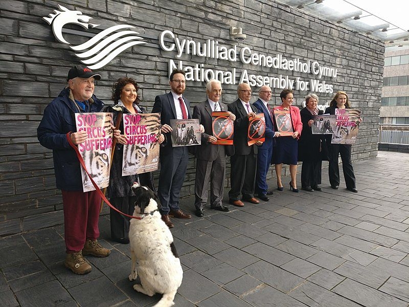 Pictured Local campaigner Linda Joyce