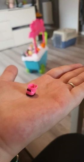 The tiny toy doll’s shoe which was swallowed by Daisy the cat, causing a dangerous internal blockage which required surgery at Eastcott Vets  