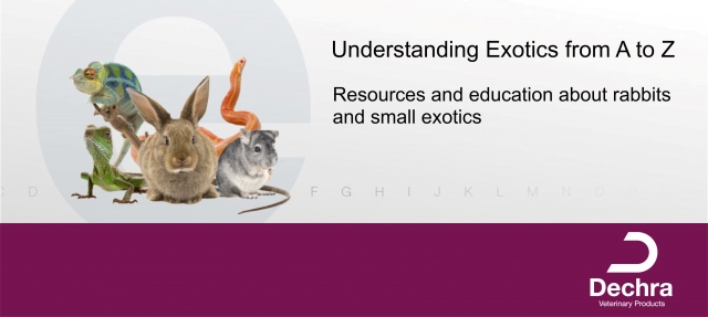 Dechra's new online portal Understanding Exotics from A-Z