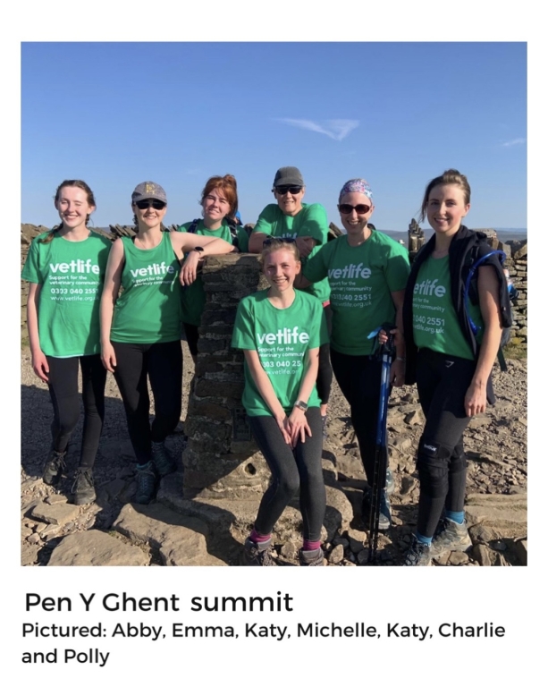 A group from Cromwell Vets has completed the Three Peaks Challenge to raise funds for the VetLife charity. 
