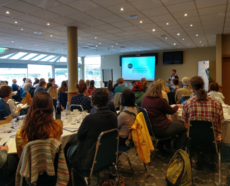 NWVS CPD session at Chester Racecourse 