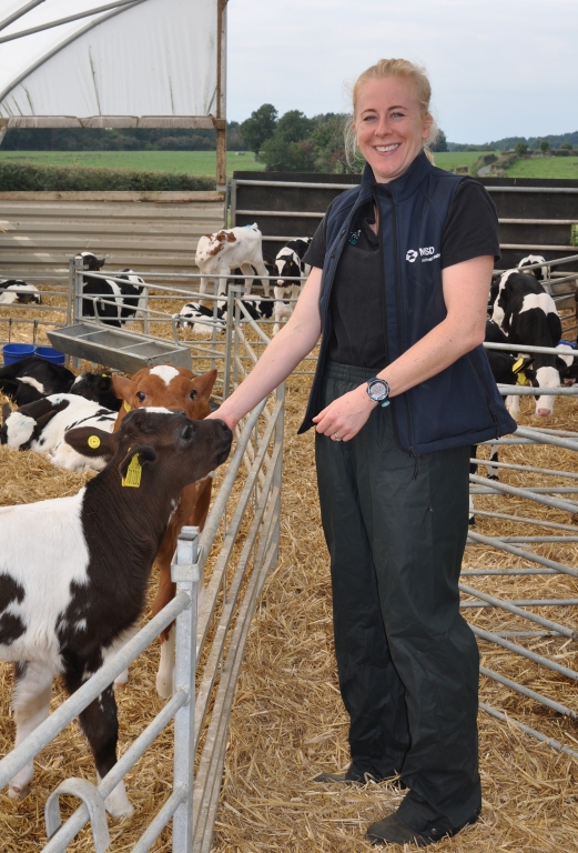 Scour is still a major cause of losses on calf rearing units, says Dr Kat Baxter-Smith