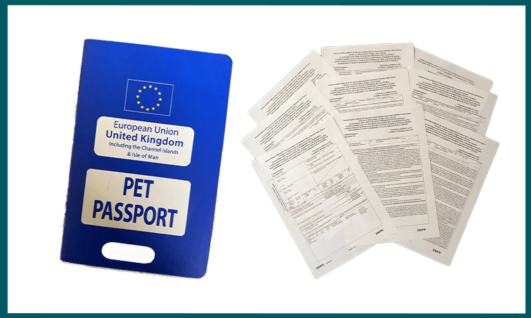 Image of a pet passport