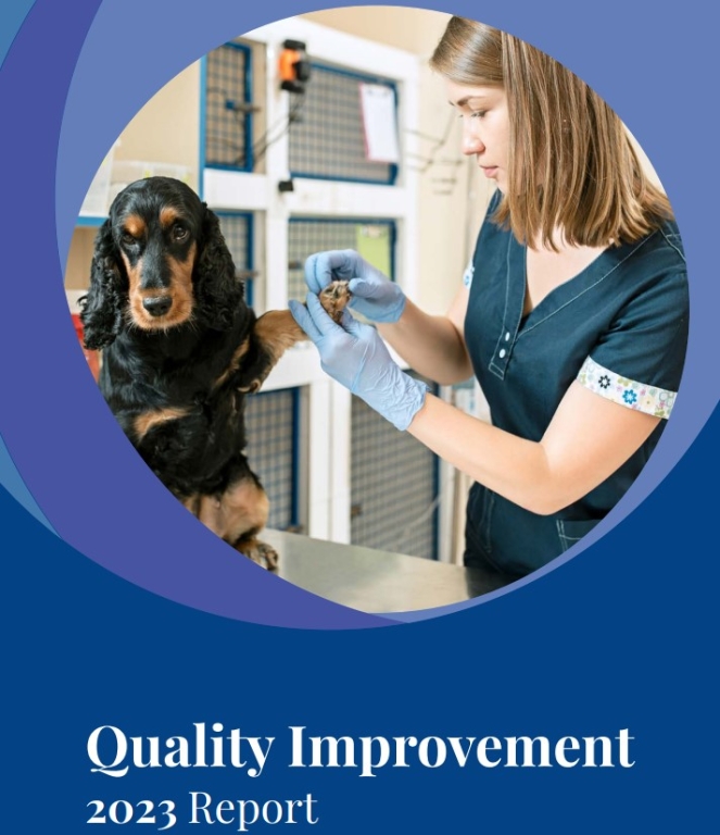 CVS Quality Improvement Report Highlights how its teams are focussed on clinical improvement
