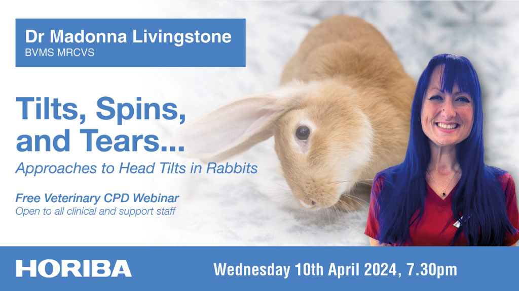 Insight on diagnosis and treatment of rabbit head tilt offered in