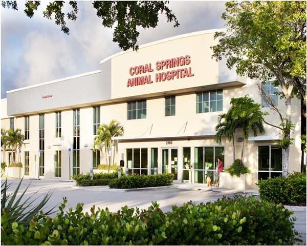Coral Springs Animal Hospital