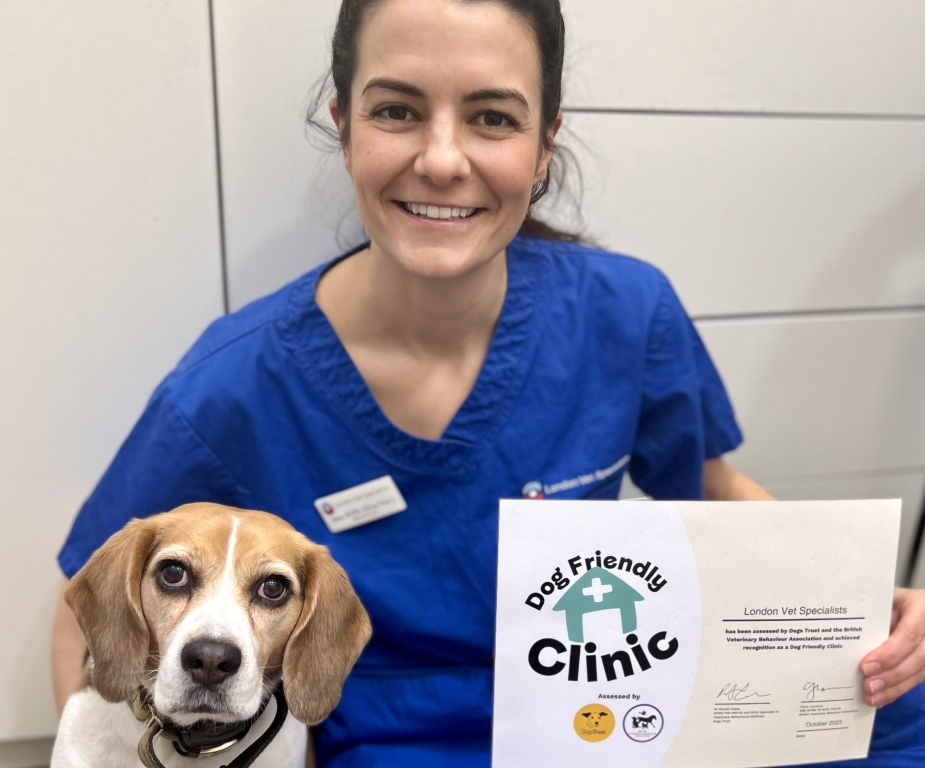 Registered veterinary nurse Jessica Atkins, who is also business relations manager and dog advocate at London Vet Specialists in Belsize Park, with Pipa the dog. 