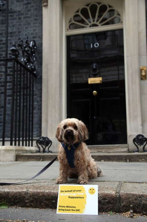 Dog sitting on 10 Downing Street step with campaign poster