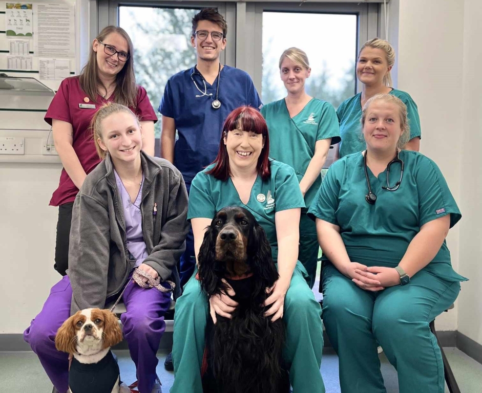 LEICESTERSHIRE VET PRACTICE IS TOP DOG FOR CANINE WELFARE