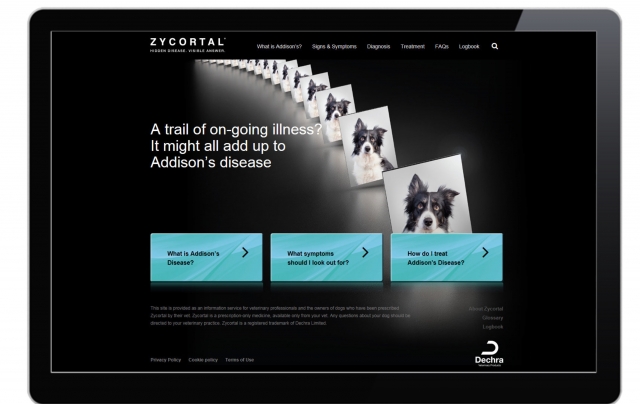 The new interactive website for owners of dogs with Addisons Disease