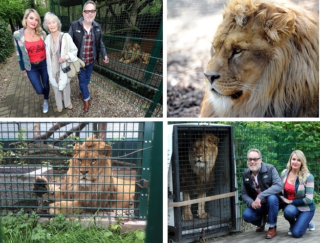 Nelson and Ciam start their journey to Africa, helped by Virginia McKenna OBE, Jim Moir and Nancy Sorrell (c) BFF  Paul Nicholls Photography