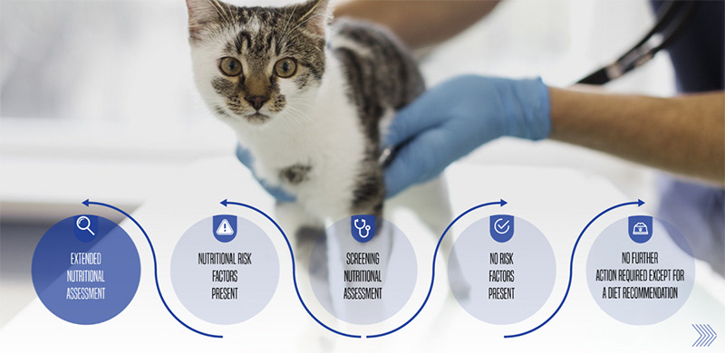 Banner showing modules