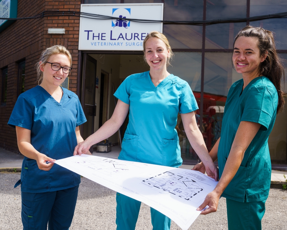 (left to right) Jodie Davis (Student Veterinary Nurse), Amy Sutton (Clinical Director) and Ellie Griffin (Registered Veterinary Nurse).