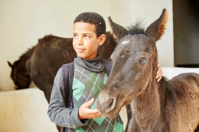 Education is key to transforming animal welfare in the long term