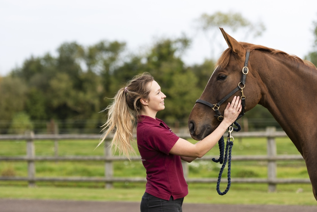 New equine Grads To Vets programme