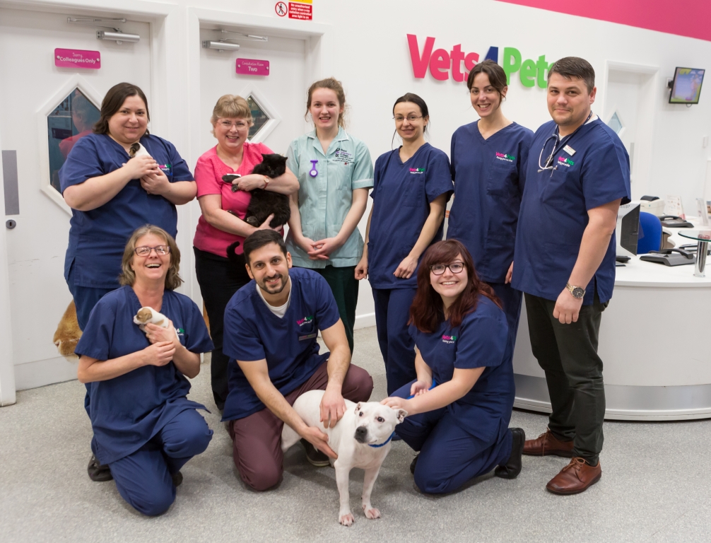 Edy Patouchas (bottom centre) and the team from Vets4Pets Swansea