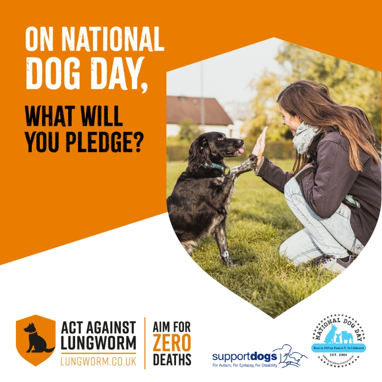 Aim For Zero Social Pledge poster