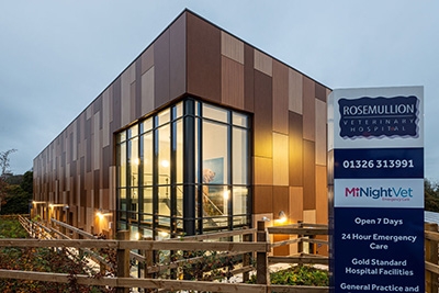 Rosemullion Veterinary Practice has run an outstanding infection control project